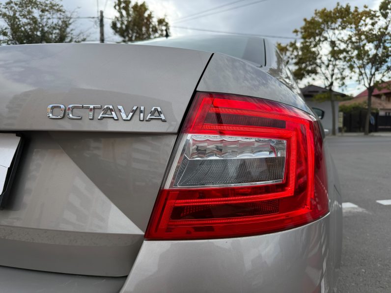 
								SKODA OCTAVIA / KEYLESS ENTRY&GO / BI-XENON / SISTEM AUDIO CANTON full									